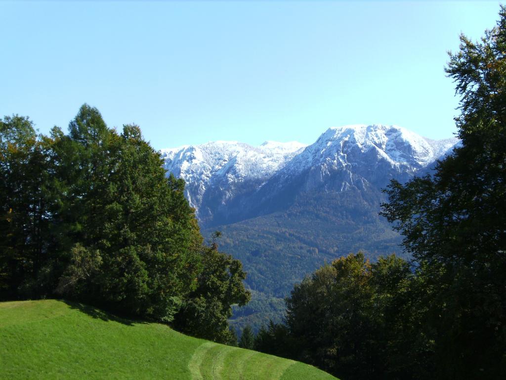 Bauernhof Familie Knoblechner Villa Nussdorf am Attersee Kamer foto